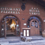 Cervo Nourriture