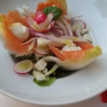 Blend Comida
