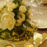 Le Mimose Nourriture