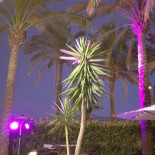 Palm Beach À l'intérieur