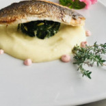 Baia Fish Nourriture