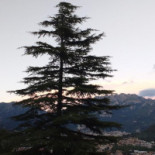 Cuma Valmadrera Extérieur