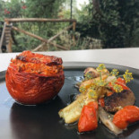 Mactra Nourriture