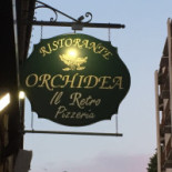 Orchidea Nourriture