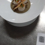Ariston Dentro
