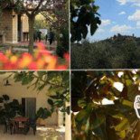 Agriturismo Poggio Baroni Località Extérieur