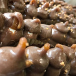 Gelateria Marimò Nourriture