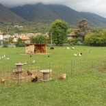 Azienda Agrituristica Ca Fossa food