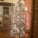 I Melograni À l'intérieur