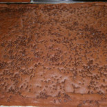 Panificio L'acqua Cheta Nourriture