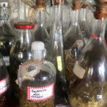 Malga Cercenedo Nourriture