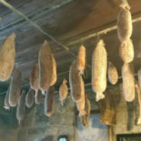 Horse's Ranch Macchia Valfortore Nourriture