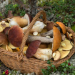 Alimentari Berzolla Nourriture