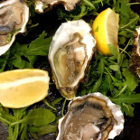 Mare Nourriture