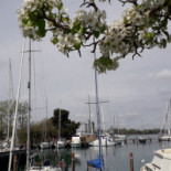 Marina Hannibal Nourriture