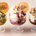Tuttogelato Nourriture