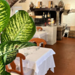 Pizzeria Arco
