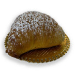Mele Deluxe Comida