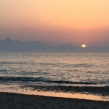 Onda Azzurra Nourriture