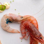 Roody Comida