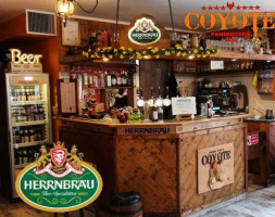Coyote Pub Paninoteca inside