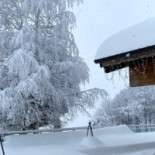 Chalet Morel Nourriture