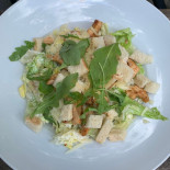 Nautilus Cibo