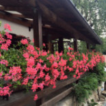 Polentoteca Chalet Gabriele Comida