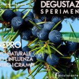 Terra E Mare Nourriture