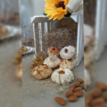 Panificio Conca D'oro Comida