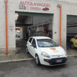 Pizzaland Dentro