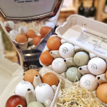 A' Putìa Panini E Vini Nourriture