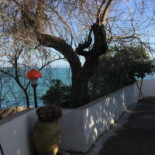 Il Corsaro Della Baia Azzurra inside