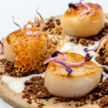 Camuri Food
