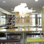 Mcdonald's Dentro