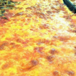 Pizza Retro' Nourriture