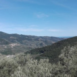 Agriturismo Dinoabbo Nourriture
