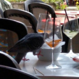 Caffè Principe Nourriture