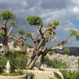 Sicilia Extérieur