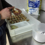 Edera Comida