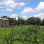 Agricola Brusignone