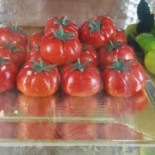 Del Corso Nourriture