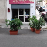 2 Buone Ragioni À l'intérieur