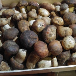 Antiche Botti Dentro