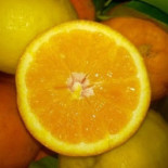 Rio Comida