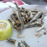 Al Pontile Nourriture