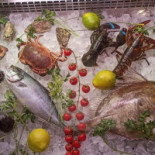 Oasi Comida