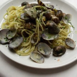Cotto Mangiato Nourriture