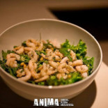 Anima Nourriture