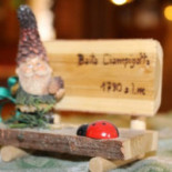 Baita Ciampigotto food